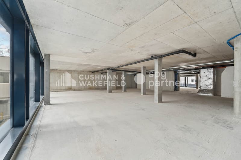Trembley 12, plateau administratif de 700 m² aménagé au c?ur d'un parc de 5 hectares (8)