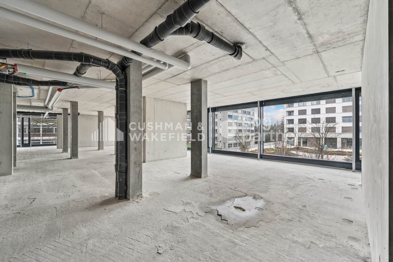 Trembley 12, surface professionnelle aménagée de 328 m² au c?ur d'un parc privé (6)