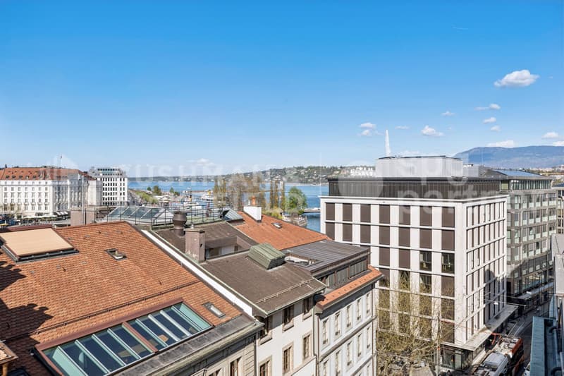 Bureaux premium à deux pas du lac - Rhône 8 (7)