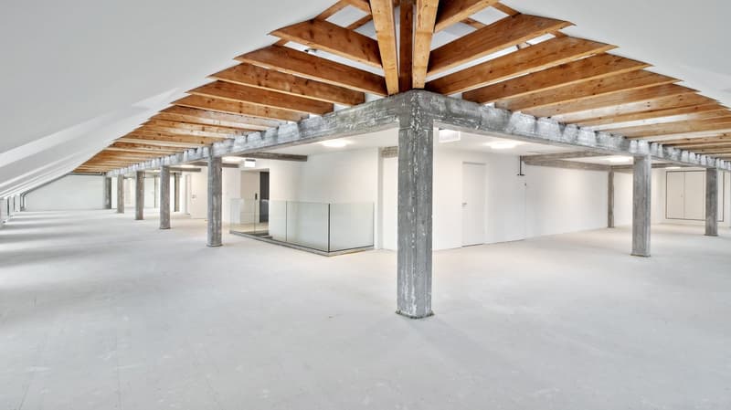 Raised ground floor, wooden beams, pillars, open space