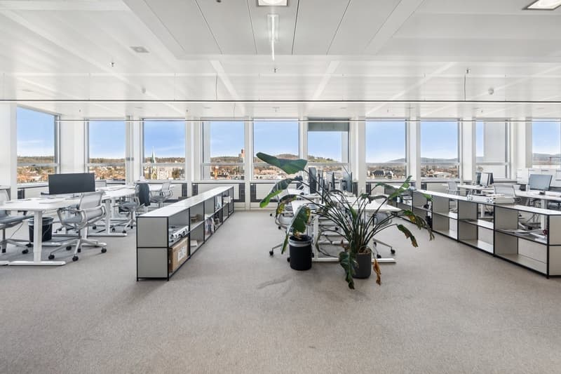 modern office space with large windows, white desks, office chairs, plants, and monitors