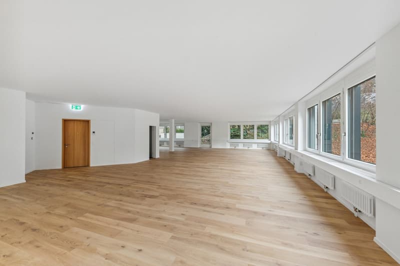 large room, wooden floor, white walls, large windows, wooden door