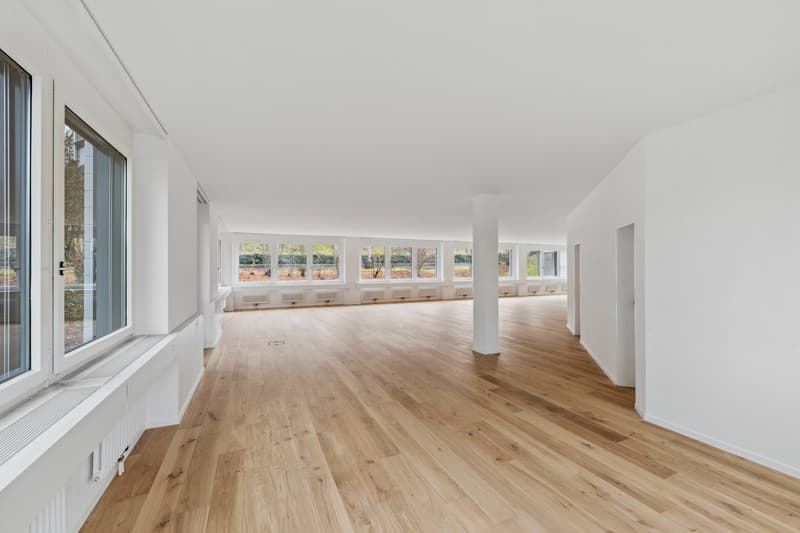 large room, hardwood floors, large windows, white walls, central column