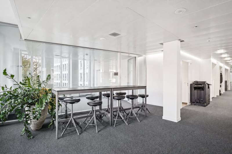 Plug & Play - Bürofläche inklusive Möblierung im CBD (5)