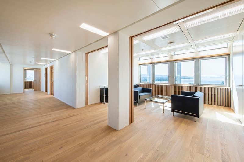 Projektankündigung: Hochhaus zur Palme (8)