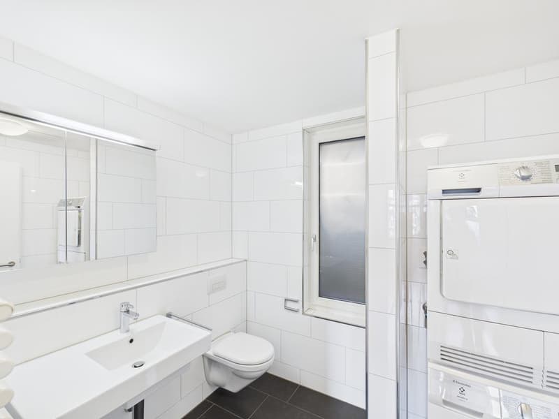 Appartamento ristrutturato nella vivace Schaffhauserplatz (3)