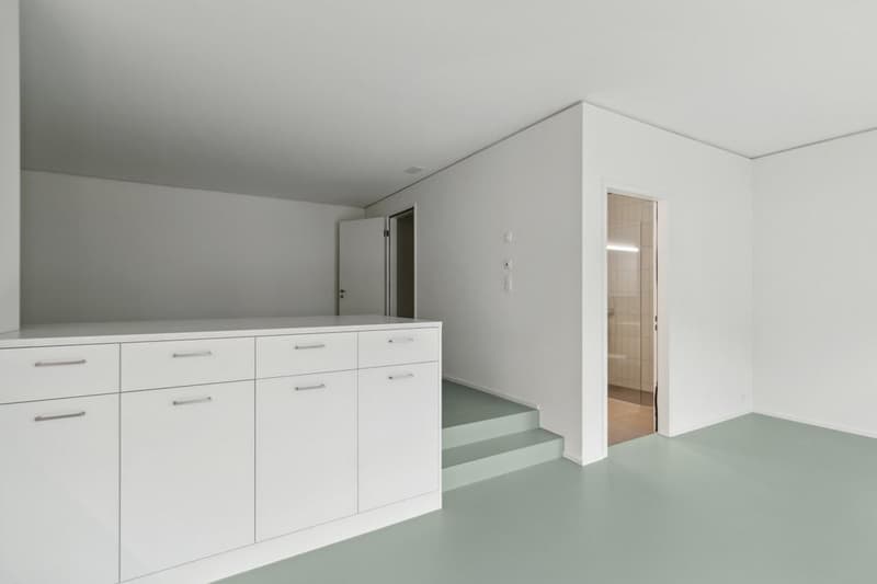 Living at Wydäckerring - Modern Home at Uetliberg (3)