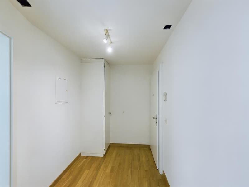 Appartement 2 pièces central avec balcon dans le populaire Wiedikon (3)