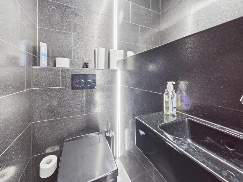 Exclusive 203 m2 commercial space in the heart of Zurich's Niederdorf (9)