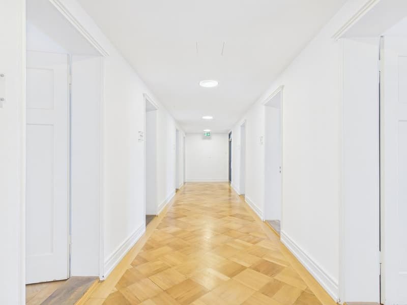 Repräsentative Altbaufläche an Top-Lage beim Stampfenbachplatz (2)