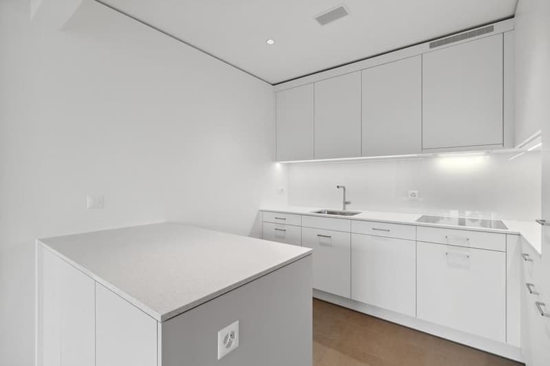 Appartement 2.5 pièces à Zurich (4)