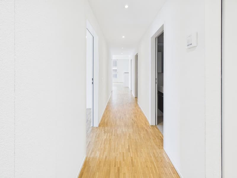 Attraktive 4.5-Zimmer-Wohnung in Zürich-Altstetten (3)