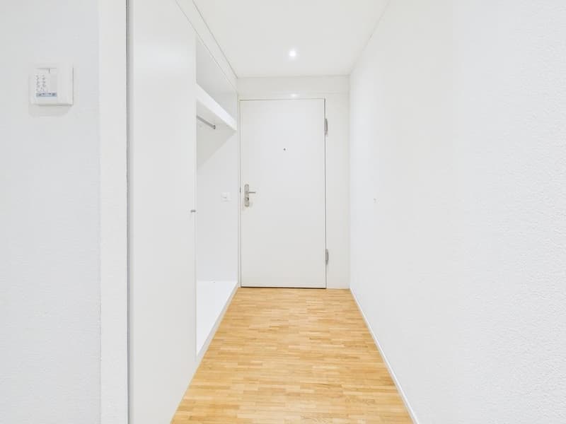 Attraktive 4.5-Zimmer-Wohnung in Zürich-Altstetten (2)