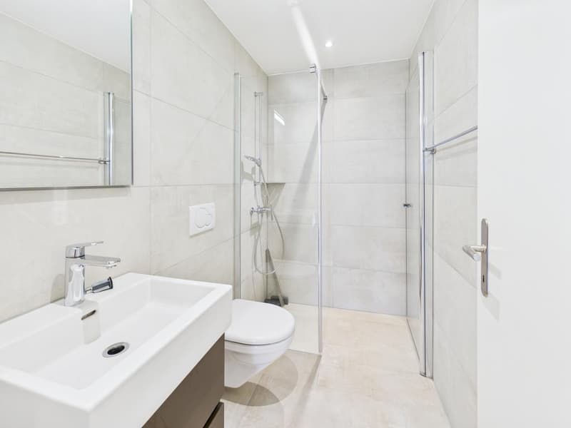 Attraktive 4.5-Zimmer-Wohnung in Zürich-Altstetten (5)