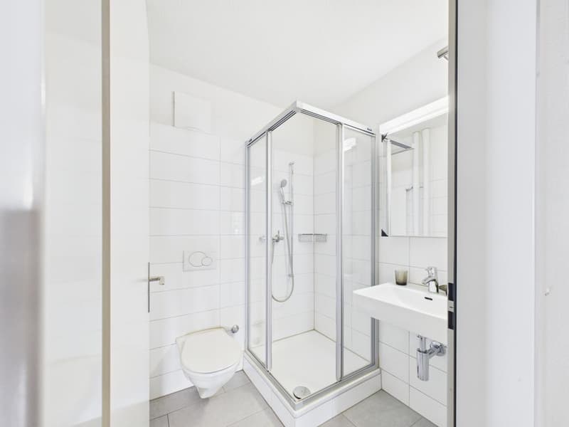 Attraktive 4.5-Zimmerwohnung im 3. Obergeschoss in Glattbrugg (6)
