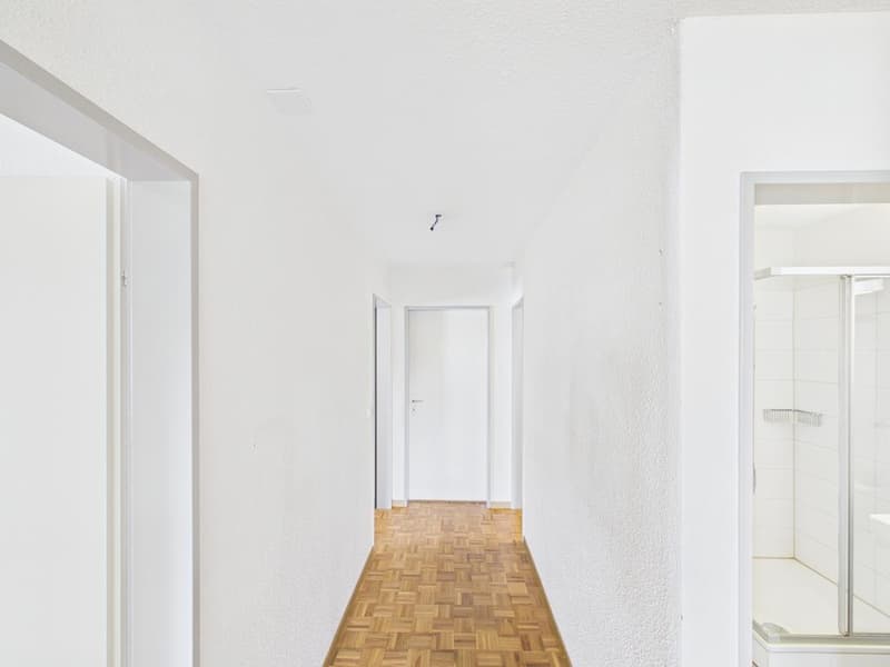Attraktive 4.5-Zimmerwohnung im 3. Obergeschoss in Glattbrugg (5)