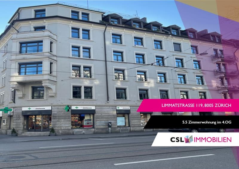 Charmante 5.5-Zimmer-Wohnung am Limmatplatz (1)