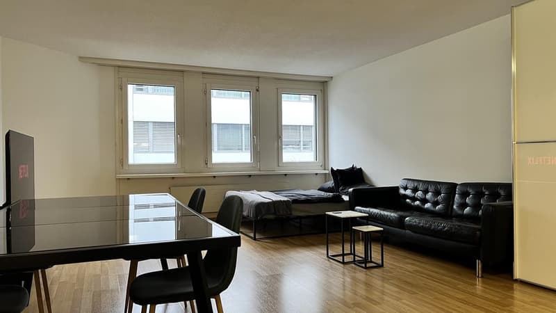 1.5 Zimmerwohnung im Herzen von Zürich (5)