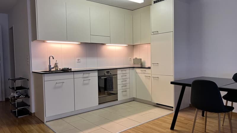 1.5 Zimmerwohnung im Herzen von Zürich (2)