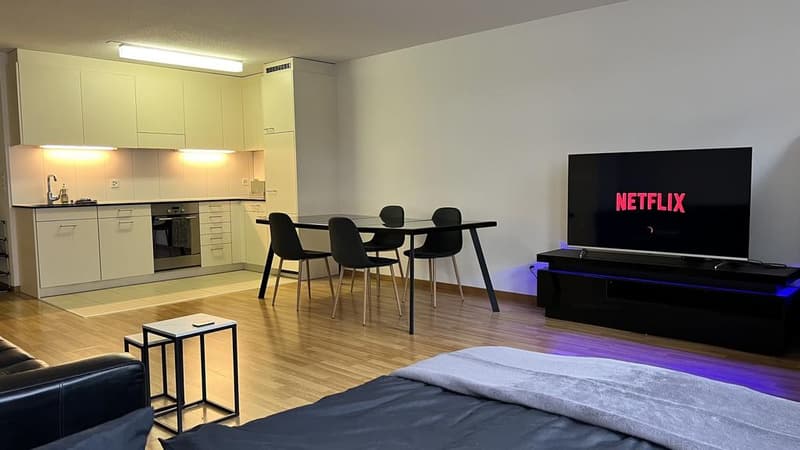 1.5 Zimmerwohnung im Herzen von Zürich (6)