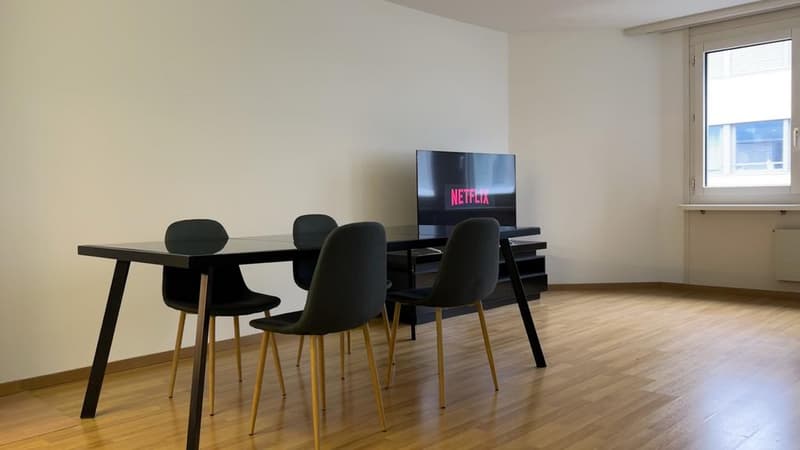 1.5 Zimmerwohnung im Herzen von Zürich (4)