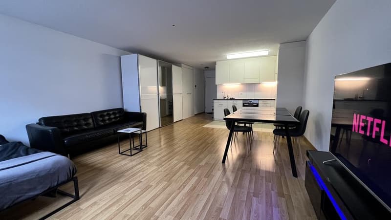 1.5 Zimmerwohnung im Herzen von Zürich (3)