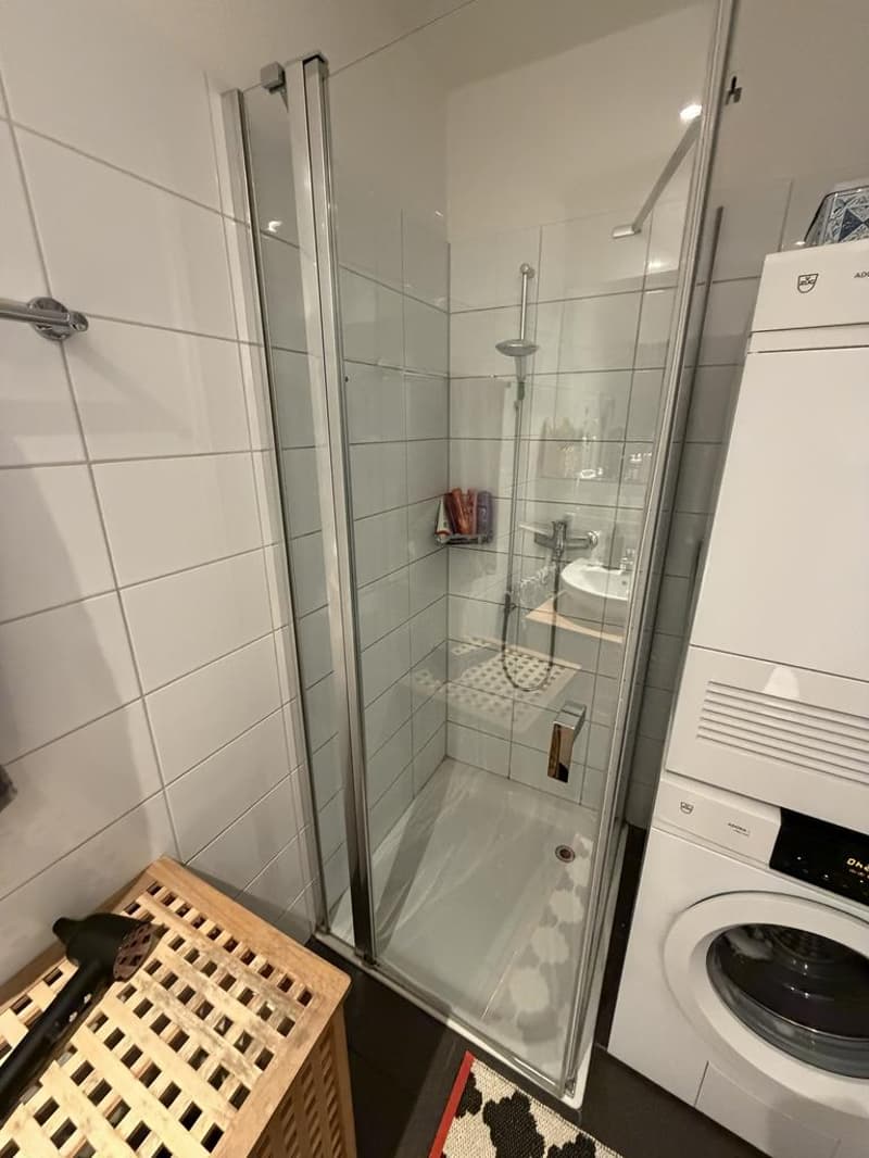 4.5-Zimmerwohnung In der Looren 58, 8053 Zürich (5)