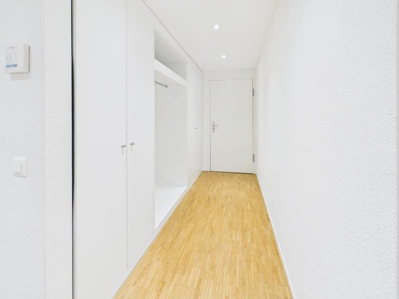 Attraktive 2.5-Zimmer-Wohnung in Zürich-Altstetten (2)