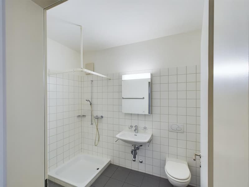 4.5 Zimmerwohnung im Herzen von Oerlikon (3)