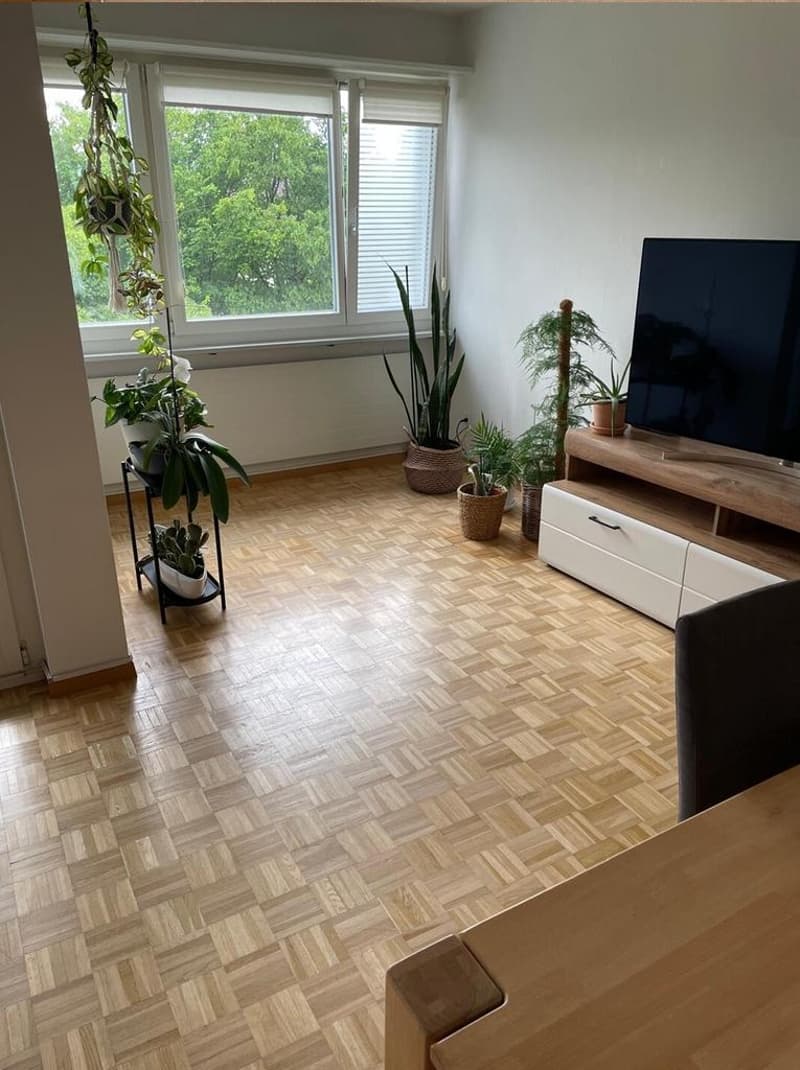 3.5 Zimmerwohnung im Herzen von Schwerzenbach (2)