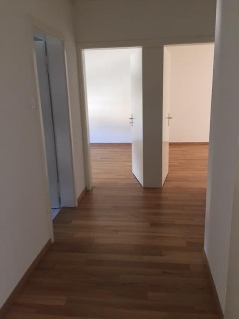 3-Zimmer-Wohnung in zentraler Lage in Zürich (3)
