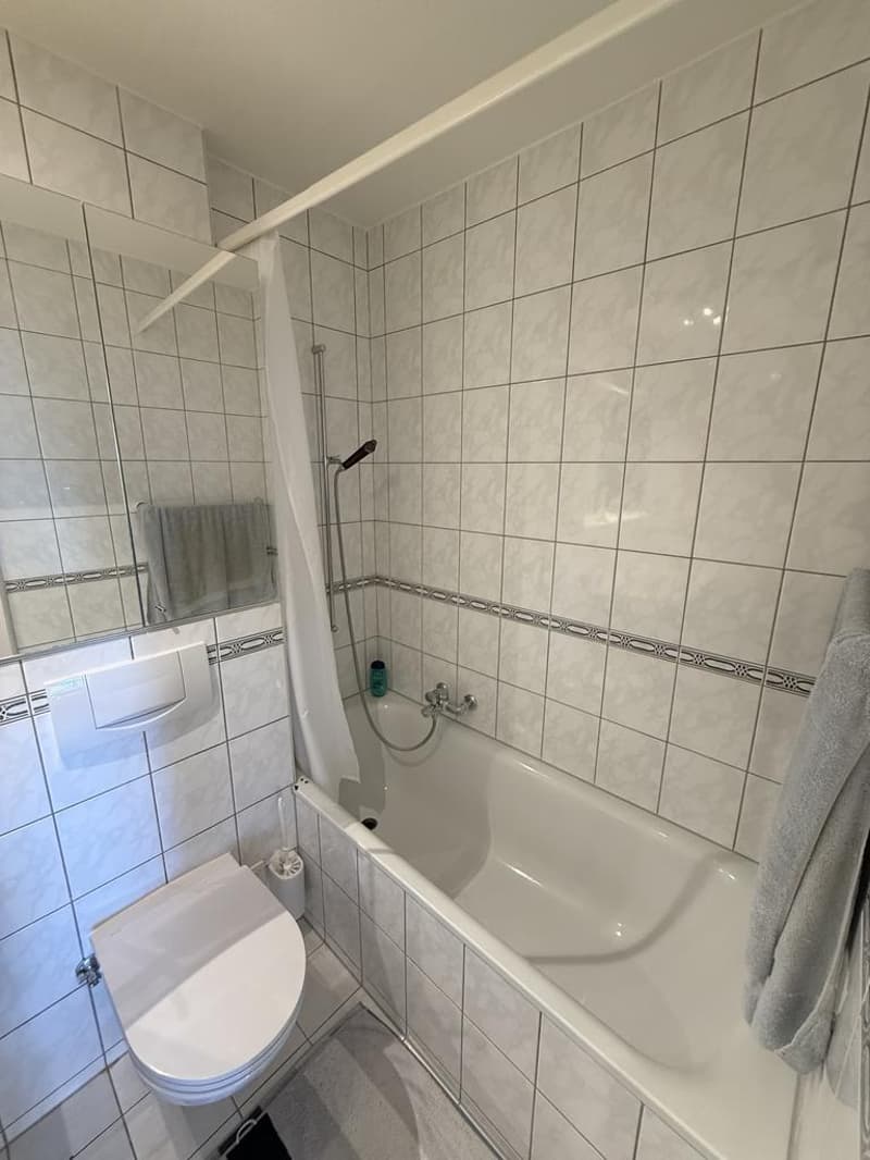 2 Zimmerwohnung im Herzen von Uster (8)