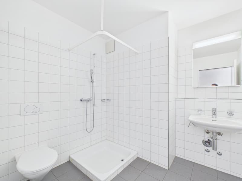 4.5 Zimmerwohnung im Herzen von Oerlikon (6)