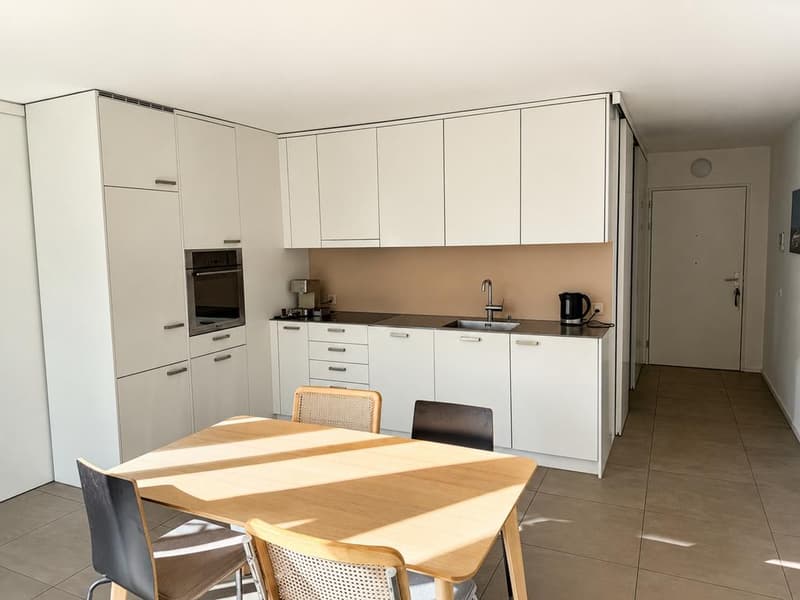 Modernes Loft im Herzen von Zürich (3)