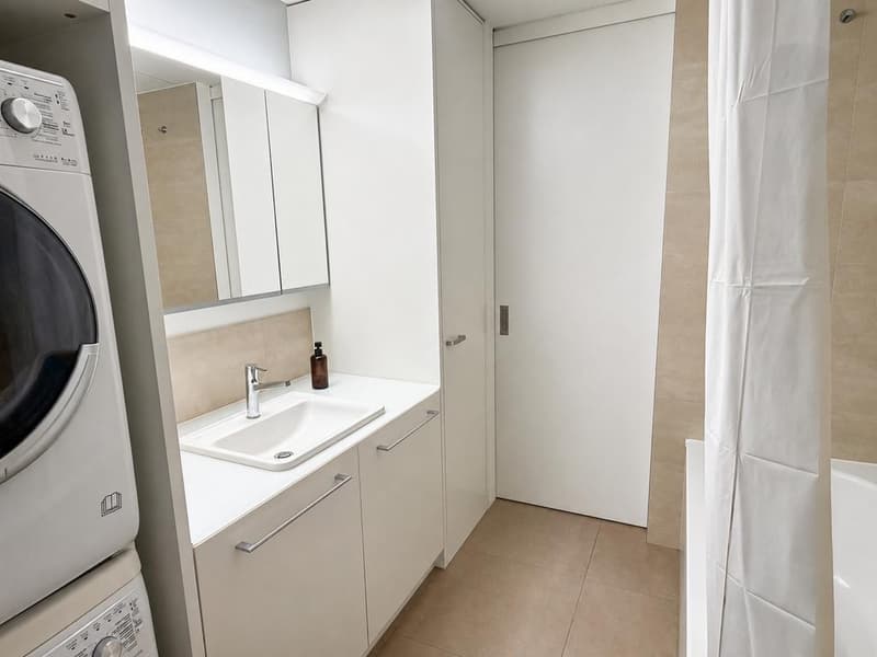 Modernes Loft im Herzen von Zürich (5)