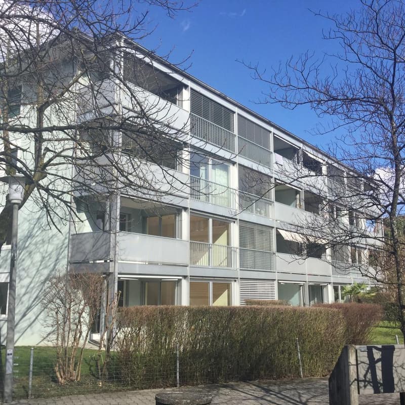 Moderne 3-Zimmerwohnung in Affoltern am Albis (1)