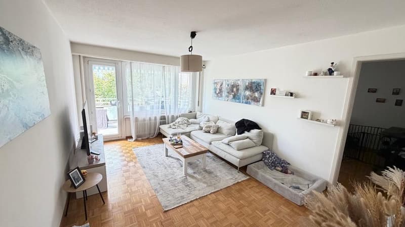 Charmante 3.5 Zimmerwohnung im Erdgeschoss (7)