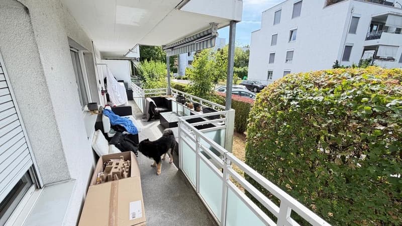 Charmante 3.5 Zimmerwohnung im Erdgeschoss (4)
