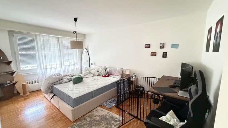 Charmante 3.5 Zimmerwohnung im Erdgeschoss (5)