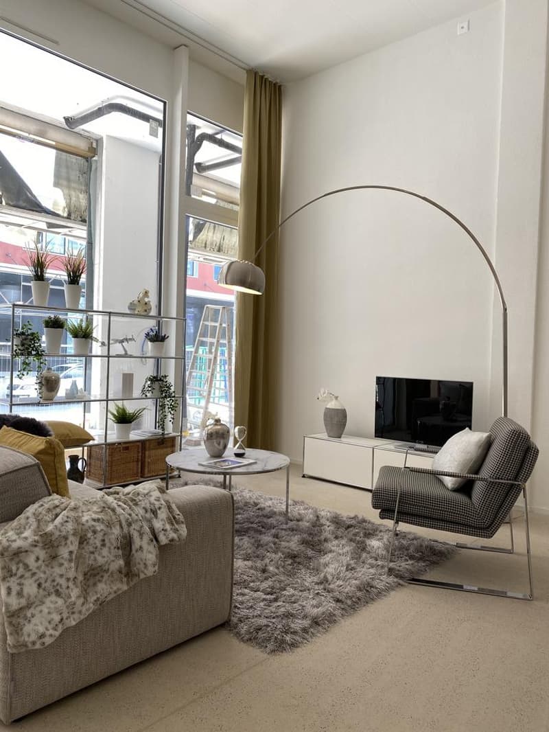 2.5 Zimmerwohnung in Zürich (4)