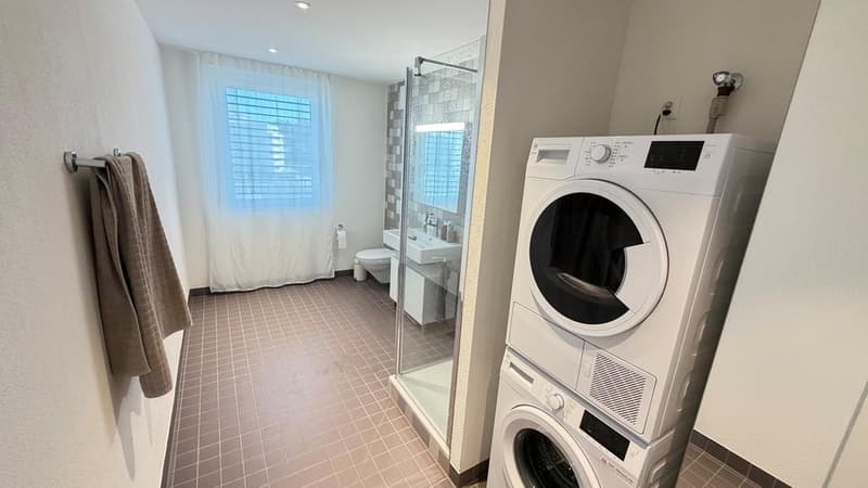Moderne 2.5 Zimmer - Attika Wohnung in Oerlikon (5)