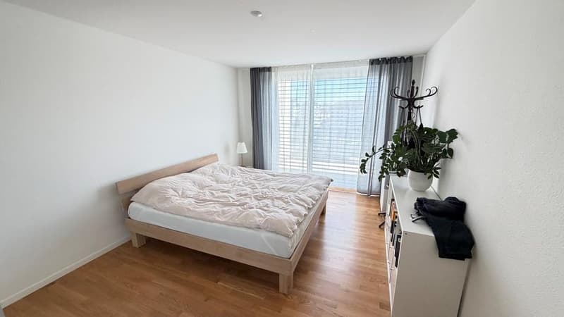 Moderne 2.5 Zimmer - Attika Wohnung in Oerlikon (6)