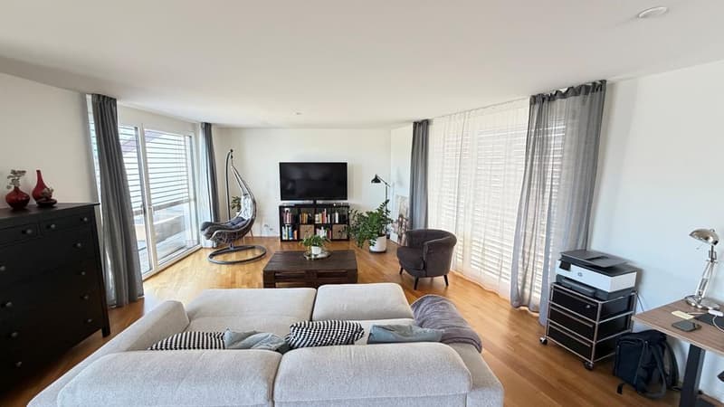 Moderne 2.5 Zimmer - Attika Wohnung in Oerlikon (2)