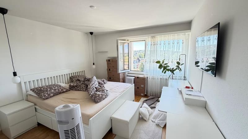 Grosszügige 4.5 Zimmerwohnung im 11. Stock (3)