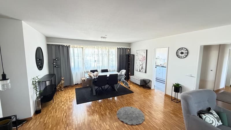 Grosszügige 4.5 Zimmerwohnung im 11. Stock (8)
