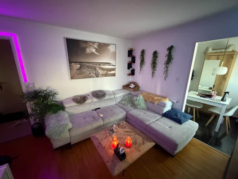 2.5 Zimmerwohnung in Uster (3)