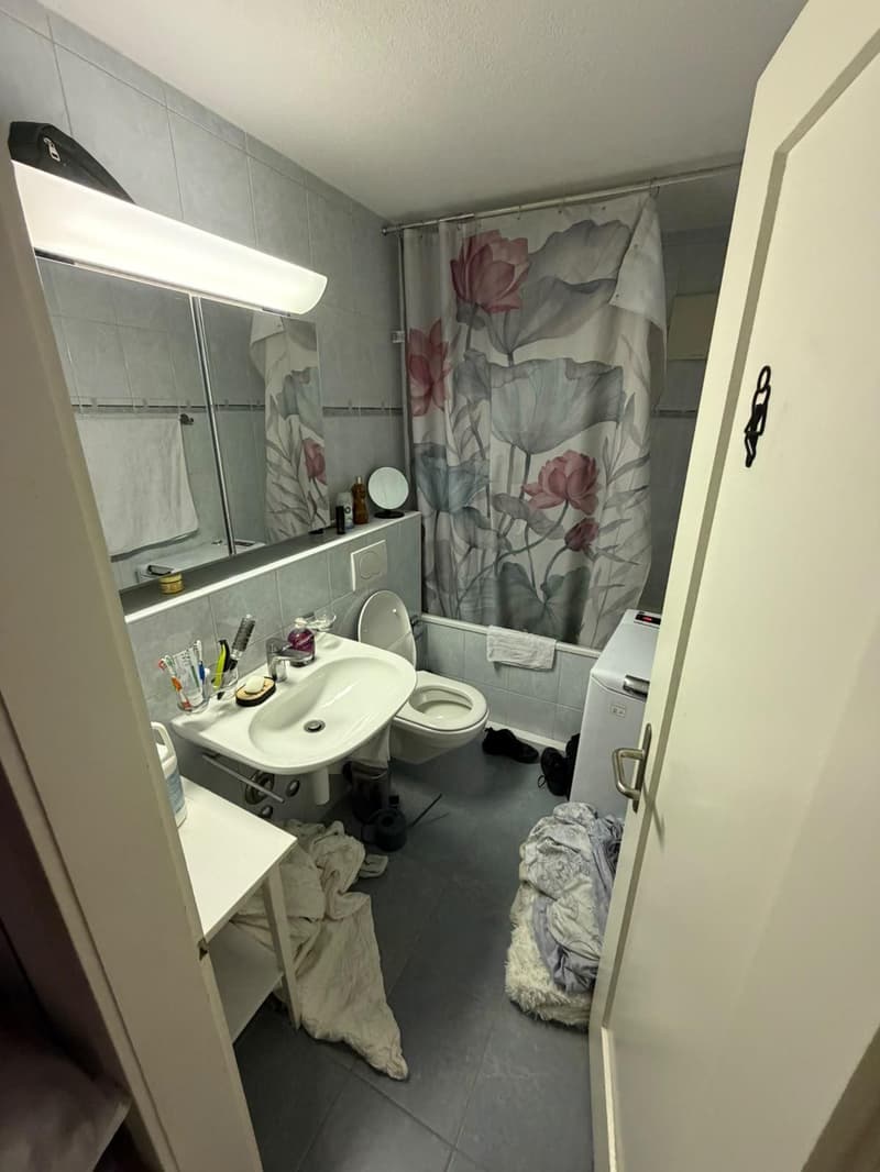 2.5 Zimmerwohnung in Uster (8)