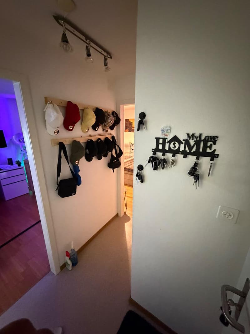 2.5 Zimmerwohnung in Uster (7)