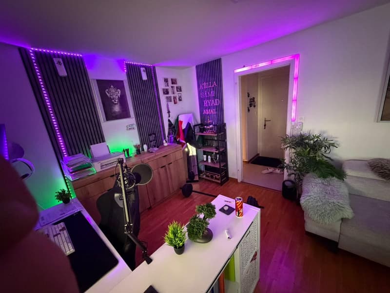 2.5 Zimmerwohnung in Uster (2)
