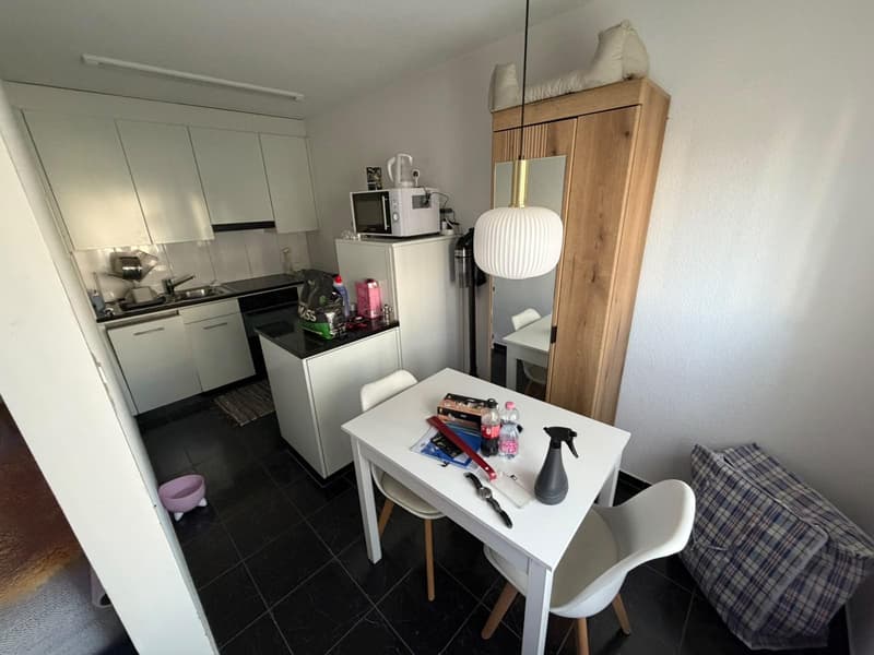 2.5 Zimmerwohnung in Uster (5)
